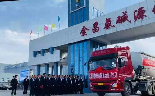 金泥集團20萬噸聯堿項目順利投產，純堿產品與翡翠玉石共譜發展新篇